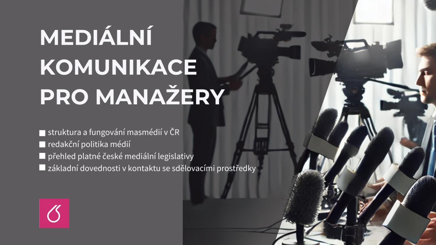 Mediální komunikace pro manažery 