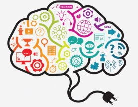 Jak se učí poradenská společnost